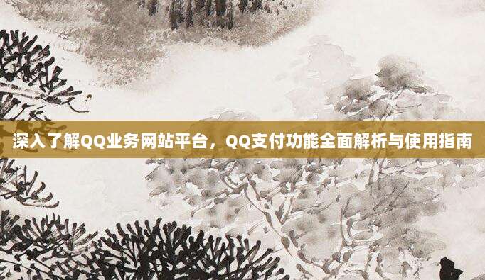 深入了解QQ业务网站平台，QQ支付功能全面解析与使用指南