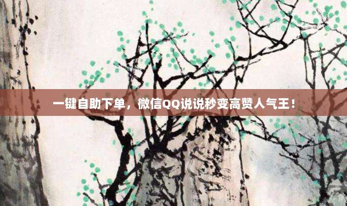 一键自助下单，微信QQ说说秒变高赞人气王！